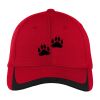 Pique Colorblock Cap Thumbnail