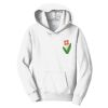 Youth Fan Favorite Fleece Pullover Hooded Sweatshirt Thumbnail