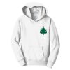Youth Fan Favorite Fleece Pullover Hooded Sweatshirt Thumbnail