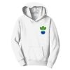 Youth Fan Favorite Fleece Pullover Hooded Sweatshirt Thumbnail