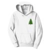 Youth Fan Favorite Fleece Pullover Hooded Sweatshirt Thumbnail